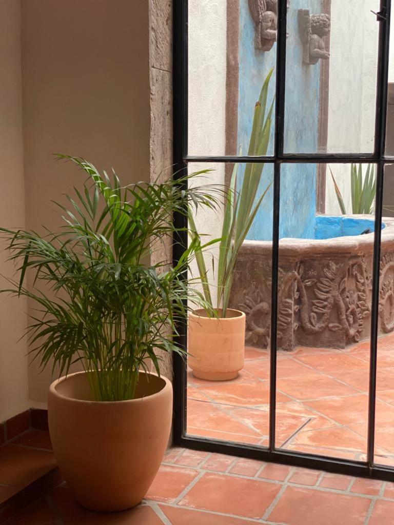 Casa Laberinto Hotell San Miguel de Allende Exteriör bild
